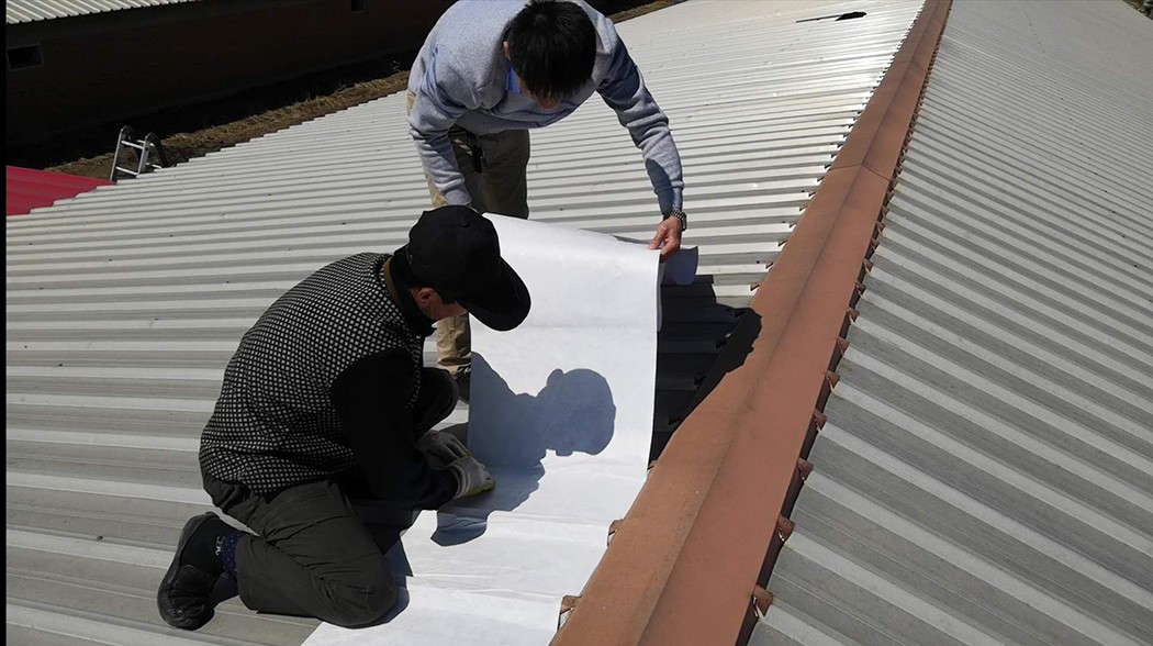 金維克A 示例圖.jpg